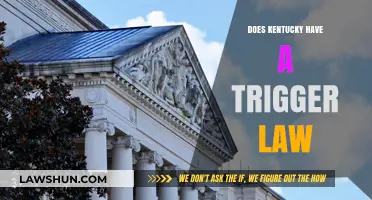 Exploring Kentucky's Legal Landscape: The Presence of Trigger Laws