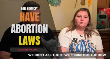 Kentucky's Abortion Laws: Understanding the Current Landscape