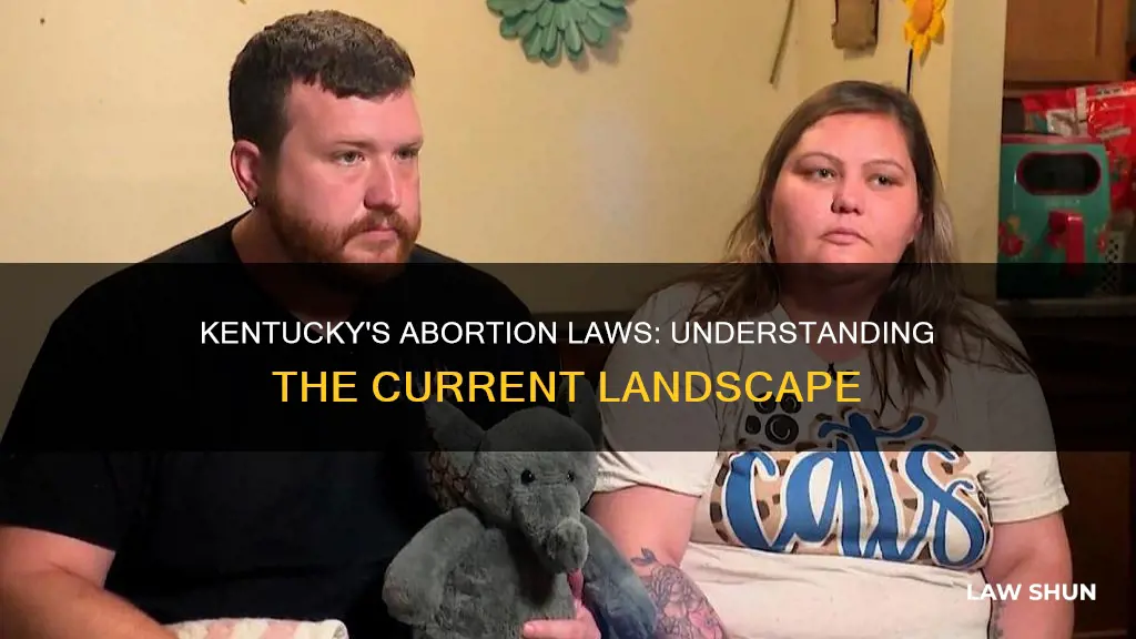 does kentucky have abortion laws