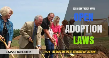 Kentucky's Open Adoption Laws: Understanding Your Rights and Options