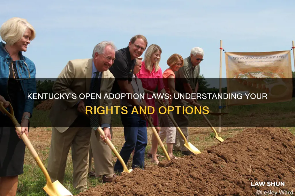 does kentucky have open adoption laws