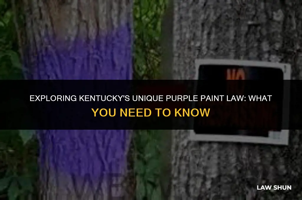 does kentucky have purple paint laws