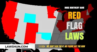 Exploring Kentucky's Stance on Red Flag Laws: A Comprehensive Overview