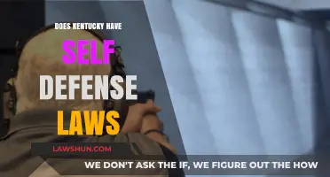 Understanding Kentucky's Self-Defense Laws: A Comprehensive Guide