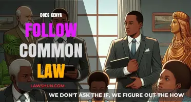 Kenya's Legal System: Common Law or Not?