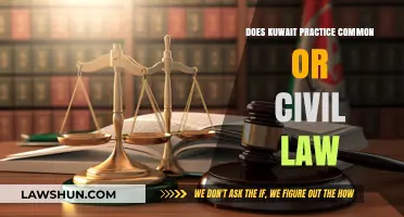 Kuwait's Legal System: Common or Civil Law?