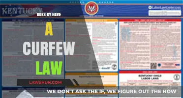 Exploring Kentucky's Curfew Laws: A Comprehensive Guide for Residents and Visitors