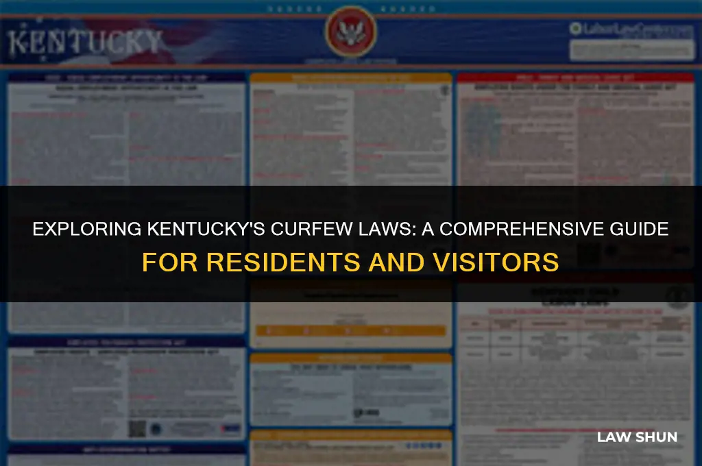 does ky have a curfew law