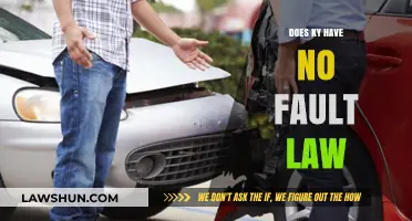 Understanding Kentucky's No-Fault Insurance Law: A Comprehensive Guide