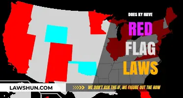 Exploring Kentucky's Stance on Red Flag Laws: A Comprehensive Overview
