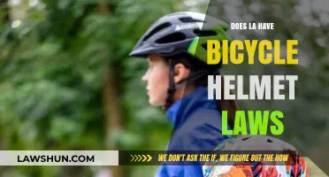 Exploring LA's Bicycle Helmet Laws: A Comprehensive Guide