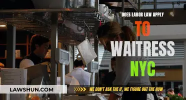 Labor Law Complexities: Waitresses in NYC, Explained