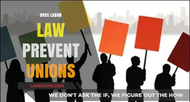 Labor Laws and Union Power: Do Regulations Restrict Collective Bargaining?