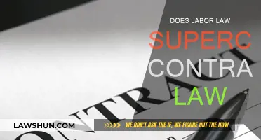Labor Law vs Contract Law: Who Wins?
