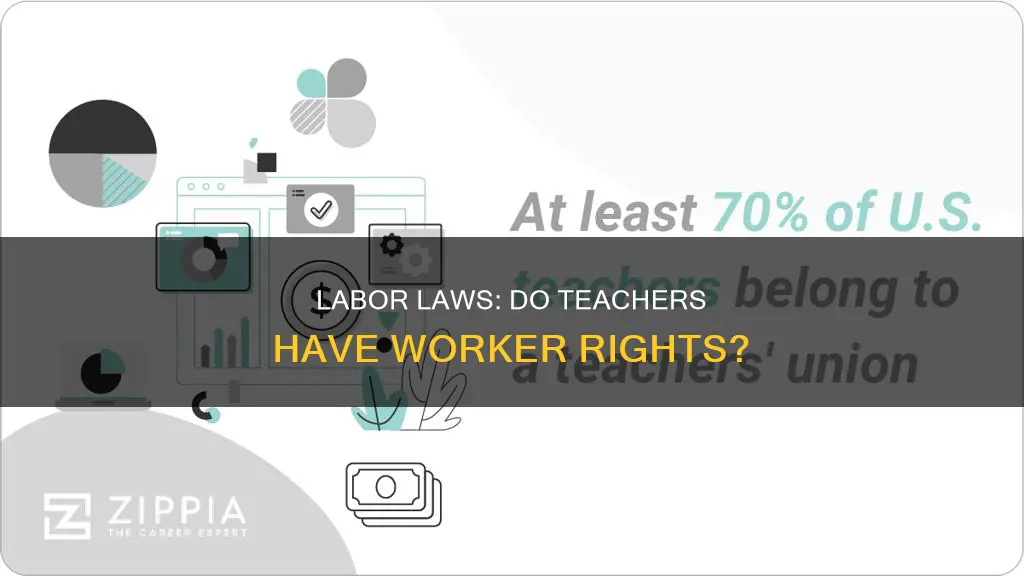 does labor laws apply to teachers