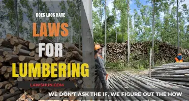 Exploring Laos' Legal Framework for Sustainable Lumbering Practices