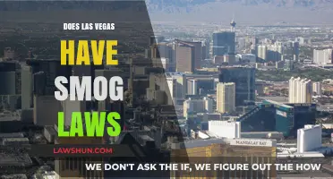 Clearing the Air: Understanding Las Vegas's Smog Laws and Regulations