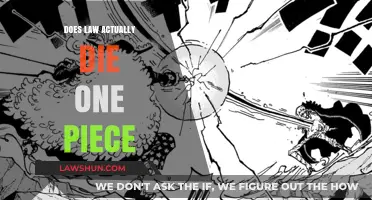 Exploring the Demise of Law in the One Piece Universe