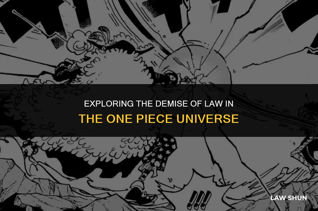 does law actually die one piece