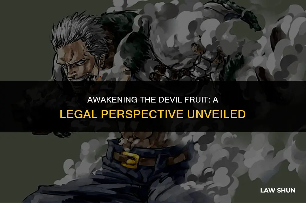does law awaken his devil fruit