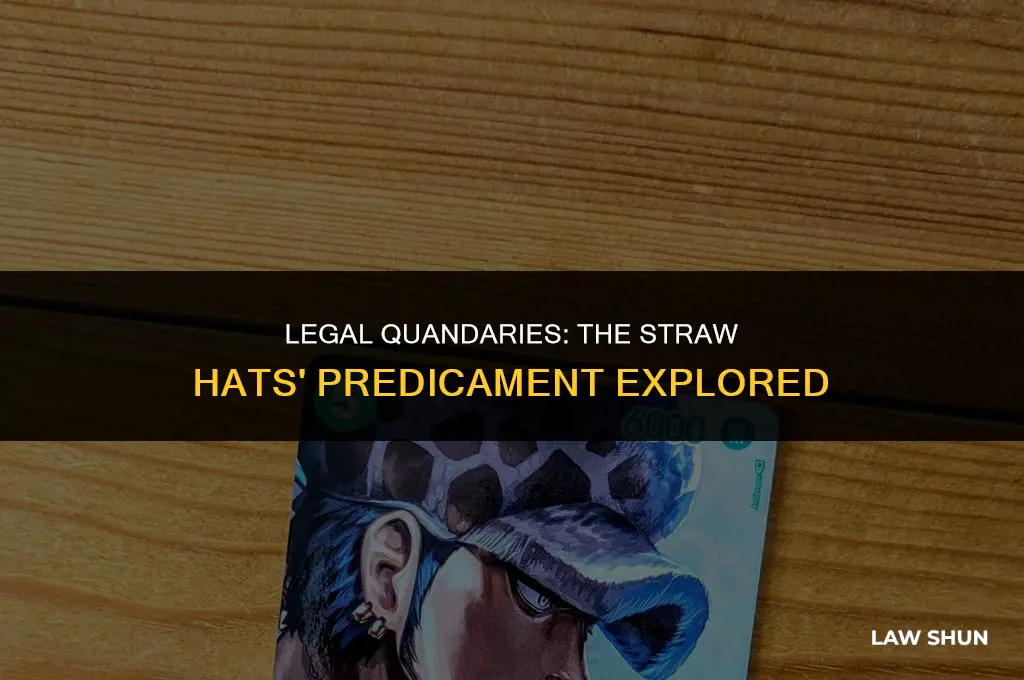 does law betray the straw hats