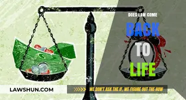 Reviving Legal Principles: Can Dormant Laws Resurface in Modern Society?