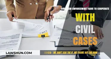 Civil Cases: When Can Police Get Involved?