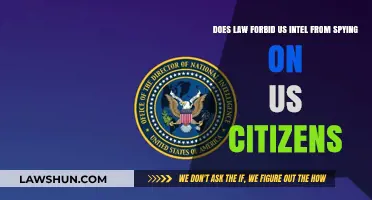 Is US Intel Legally Barred from Spying on Citizens?