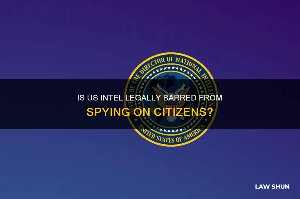 does law forbid us intel from spying on us citizens