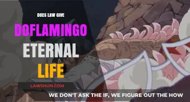 Eternal Life Through Law: The Curious Case of Doflamingo