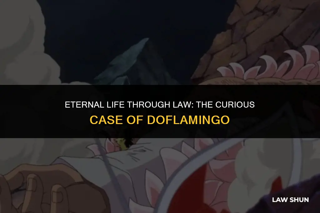 does law give doflamingo eternal life