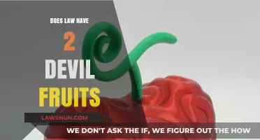 Exploring the Myth: Devil Fruits and the Law