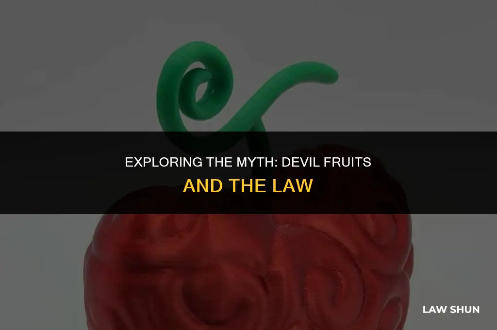 does law have 2 devil fruits