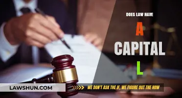 Does Law Have a Capital L? Exploring the Nuances of Legal Language