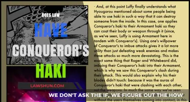 Conqueror's Haki in Law: Myth or Reality?