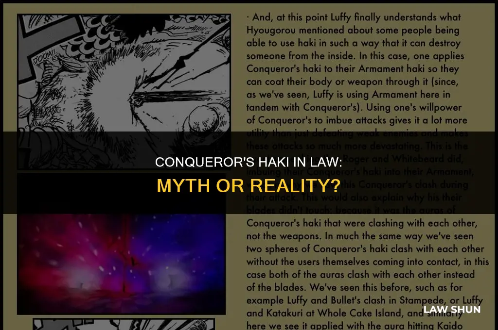 does law have conqueror