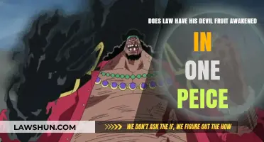 Has Law Awakened His Devil Fruit in One Piece?