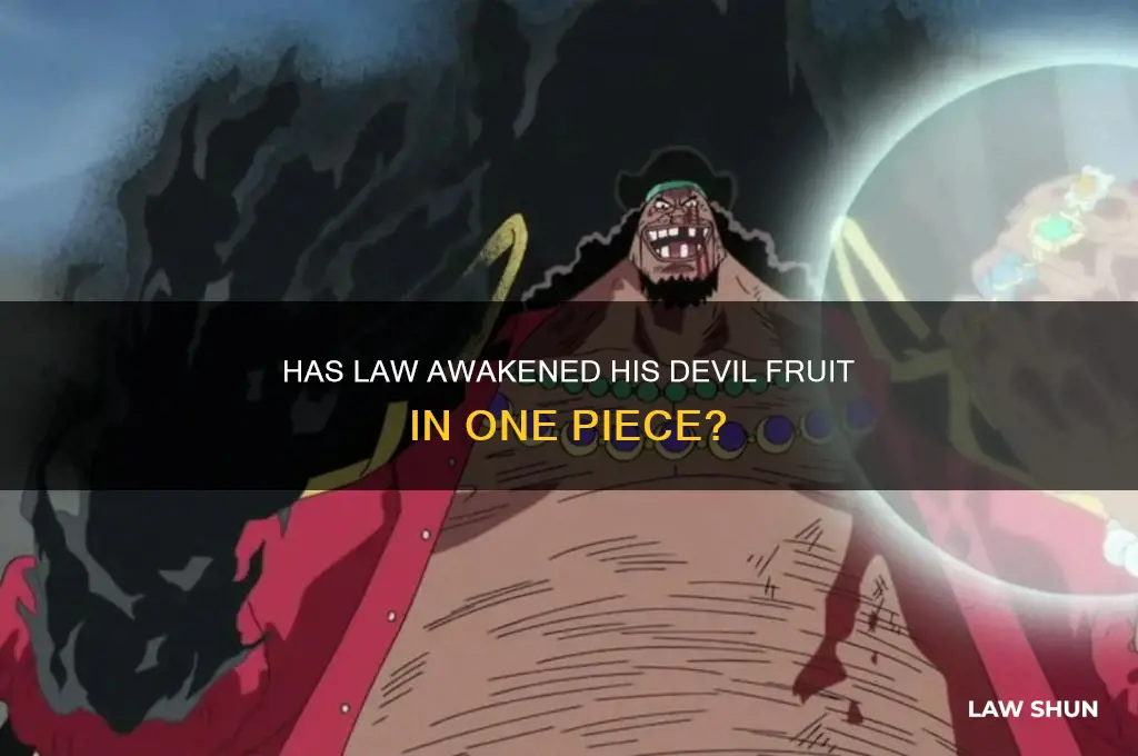 does law have his devil fruit awakened in one peice