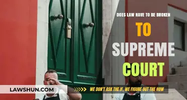 Breaking Laws to Reach the Supreme Court: Necessary or Avoidable?