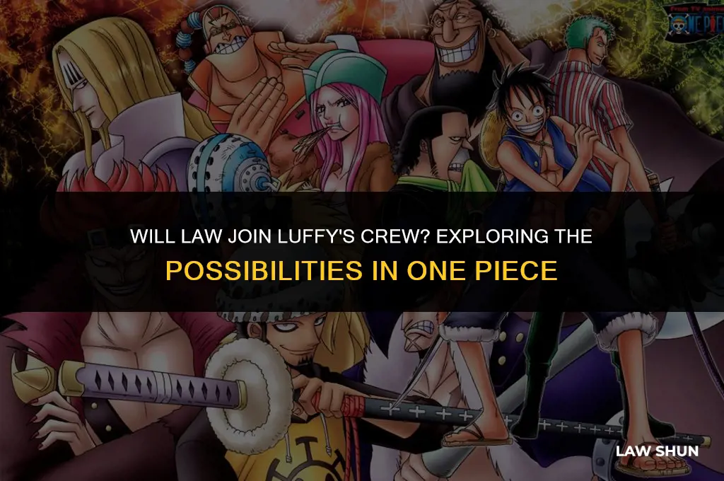 does law join luffy