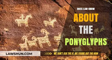 Unveiling the Mystery: Ponyglyphs and the Legal Landscape
