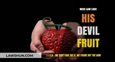 One Piece Theories: Law's Devil Fruit Powers - Lost or Evolved?