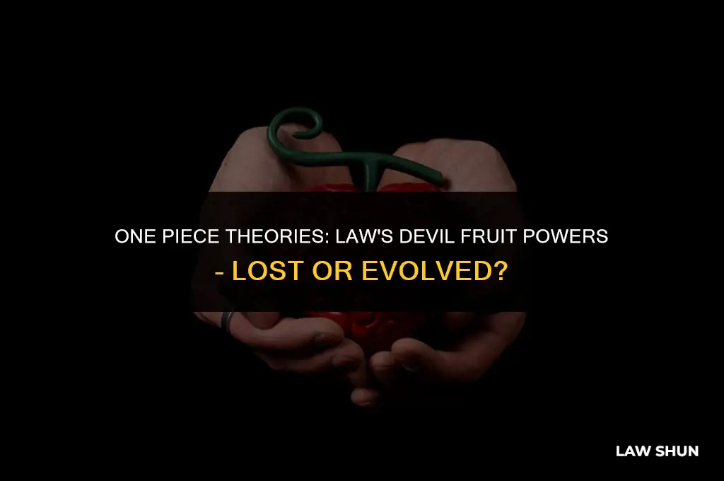 does law lose his devil fruit