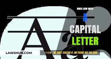 Does 'Law' Deserve a Capital Letter? Exploring Grammar and Respect