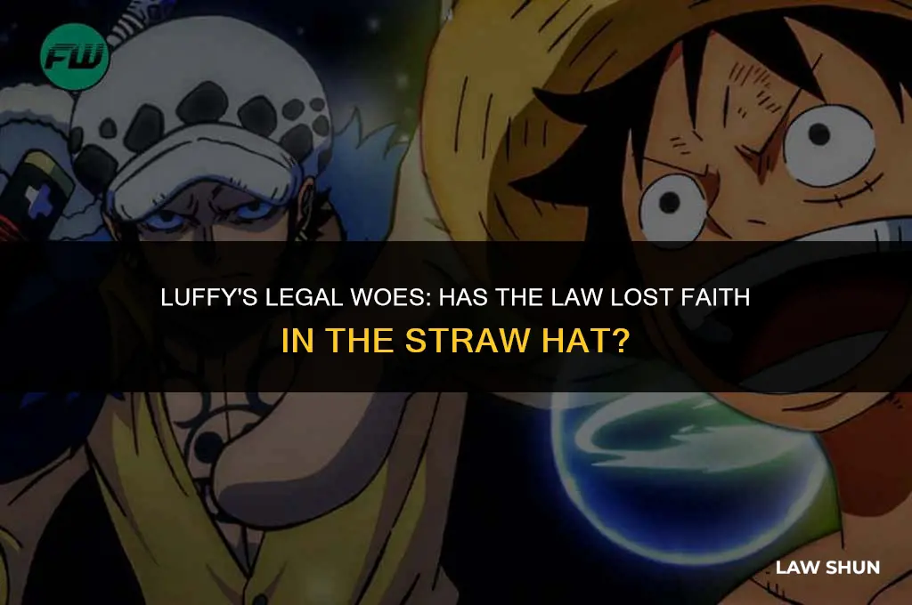 does law not trust luffy anymore