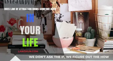 Can the Law of Attraction Reunite You with a Lost Loved One?