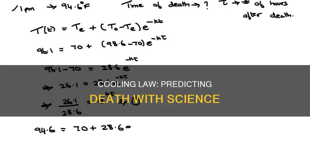 does law of cooling apply to death