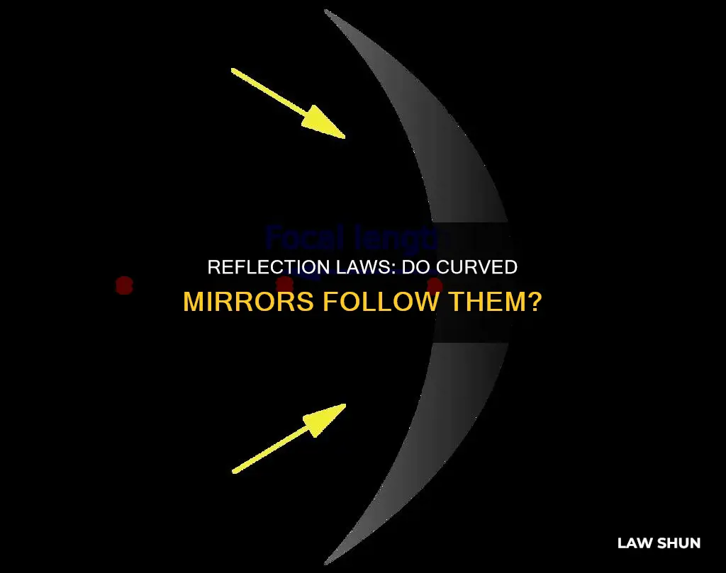 does law of reflection apply to curved mirrors