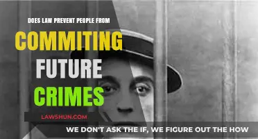 Can Legal Systems Effectively Deter Future Criminal Behavior?