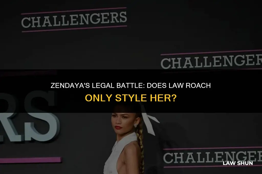 does law roach only style zendaya